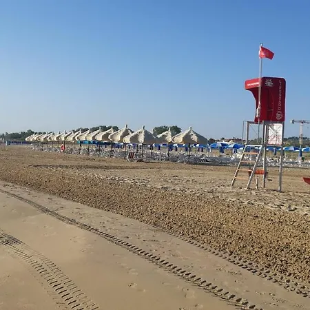Koala Marina Vasto