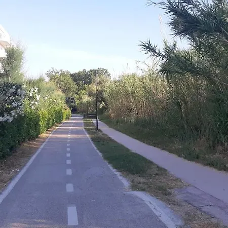 Koala Marina Vasto